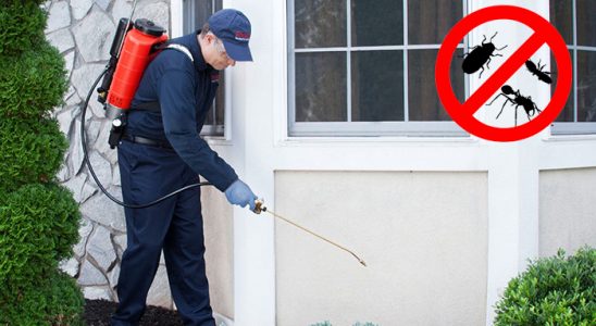 Doğanşar Kene İlaçlama böcek ilaçlama ve haşere kontrolü — ilaclama-tr.com